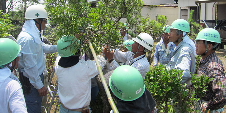 高齢者活躍人材育成事業講習会